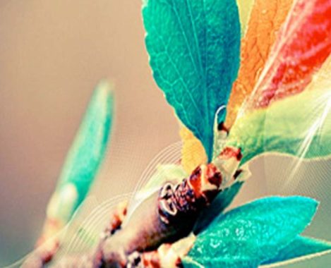 Consejos para el diseño de portada de tu libro autopublicado