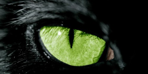 3029710950_2_3_0BImyWvx