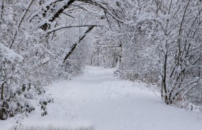 4204165438_1d23715527