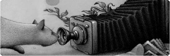 Informe Lectura Informe Lectura