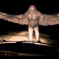 EL HOMBRE POLILLA (MOTHMAN)  DE CAPILLA DEL MONTE